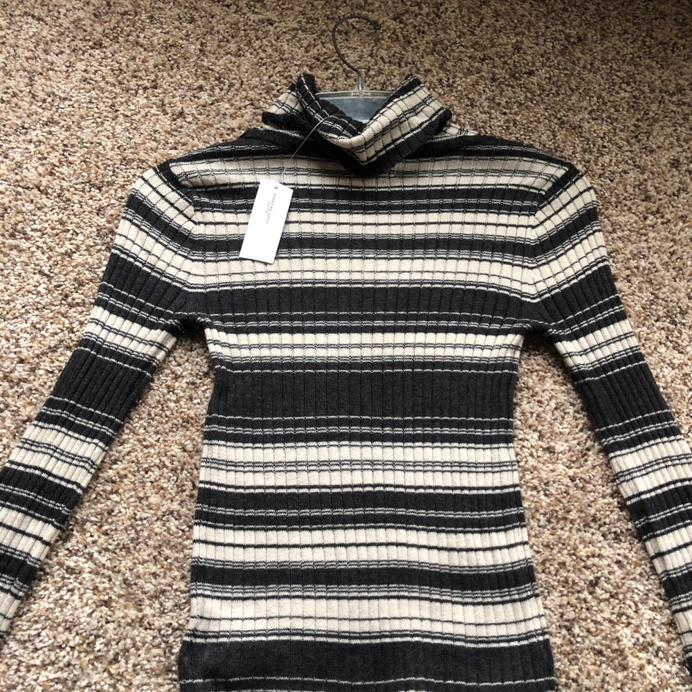 American Eagle Sweater Turtleneck